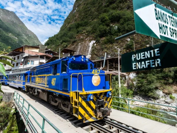 Full Day Machupicchu Expedition Train
