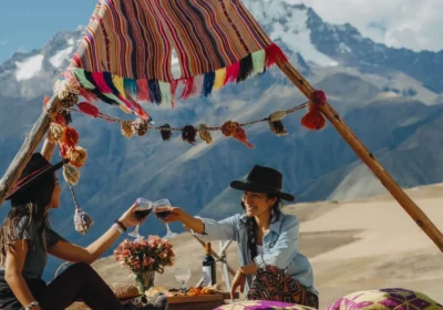 Picnic In Mountain View