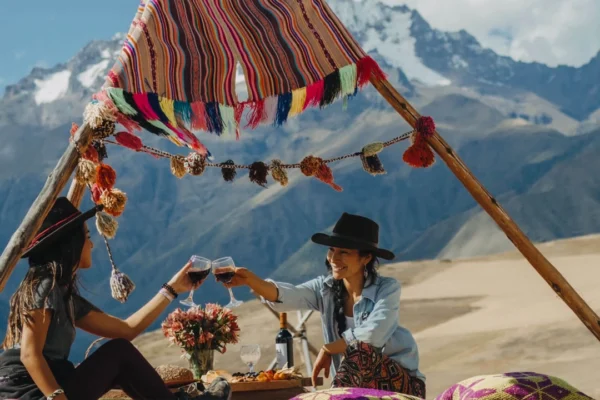 Picnic In Mountain View