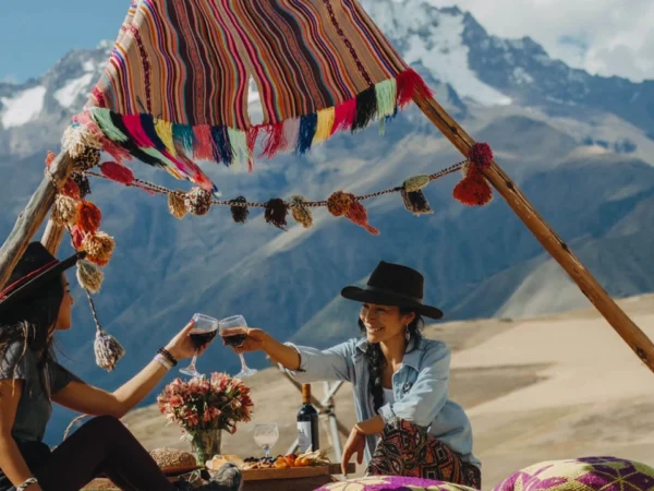 Picnic In Mountain View