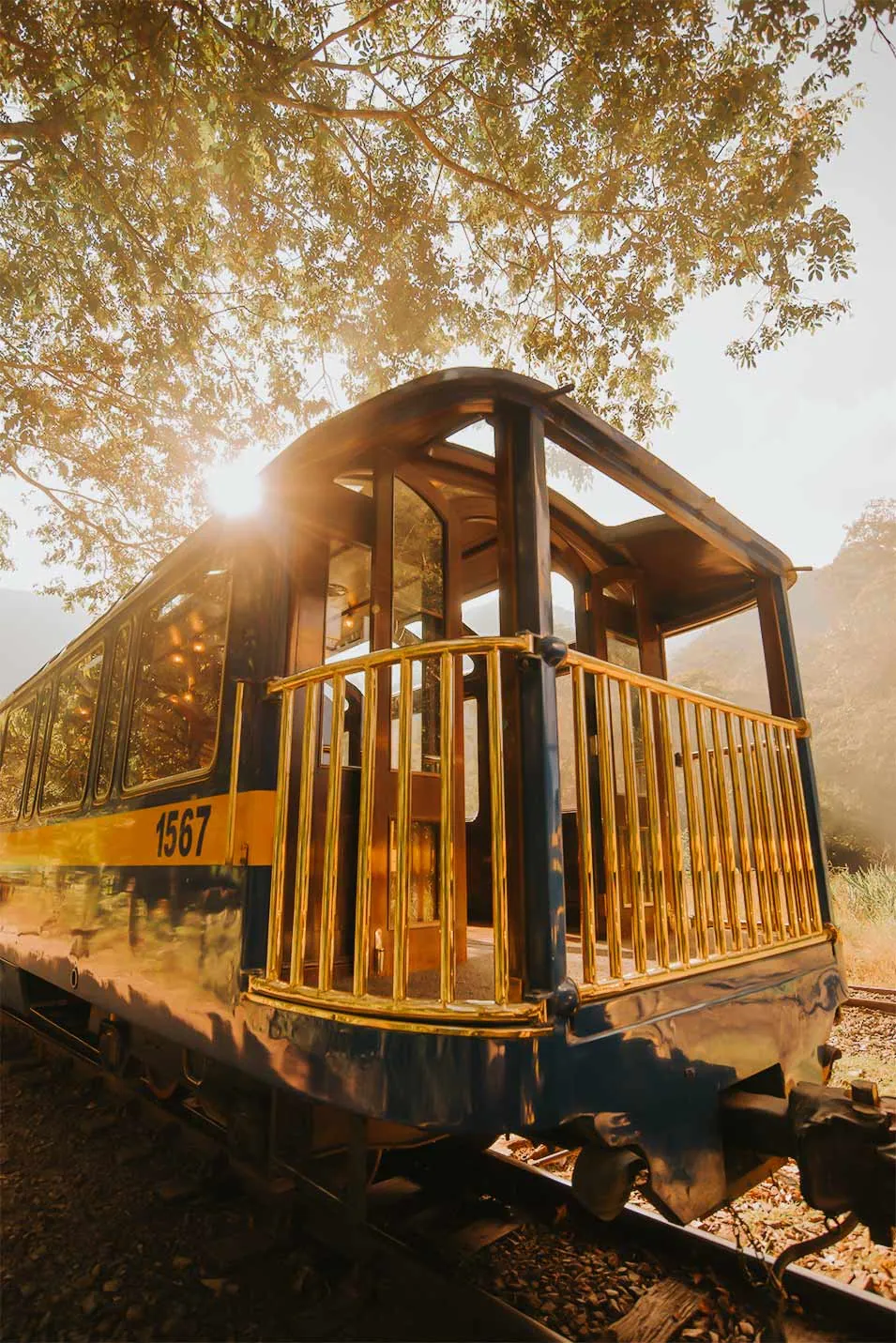 Dream Train: From the Andes to the Sky